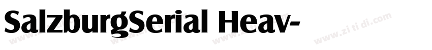 SalzburgSerial Heav字体转换 SalzburgSerial Heav字体转换